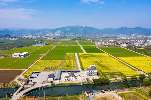 高標(biāo)準(zhǔn)農(nóng)田典型案例集錦丨“豐景”，在希望的田野